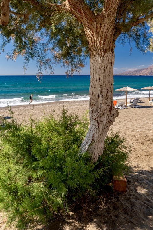 Пляж в деревне Каламаки на юге острова Крит