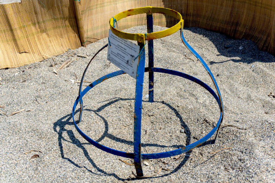 Метка на пляже, обозначающая, что на этом месте находится кладка яиц черепахи каретта-каретта